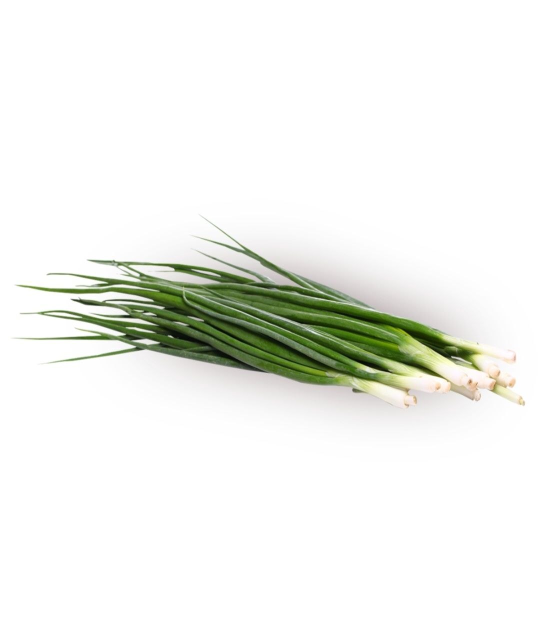 Green onion 1 pcs