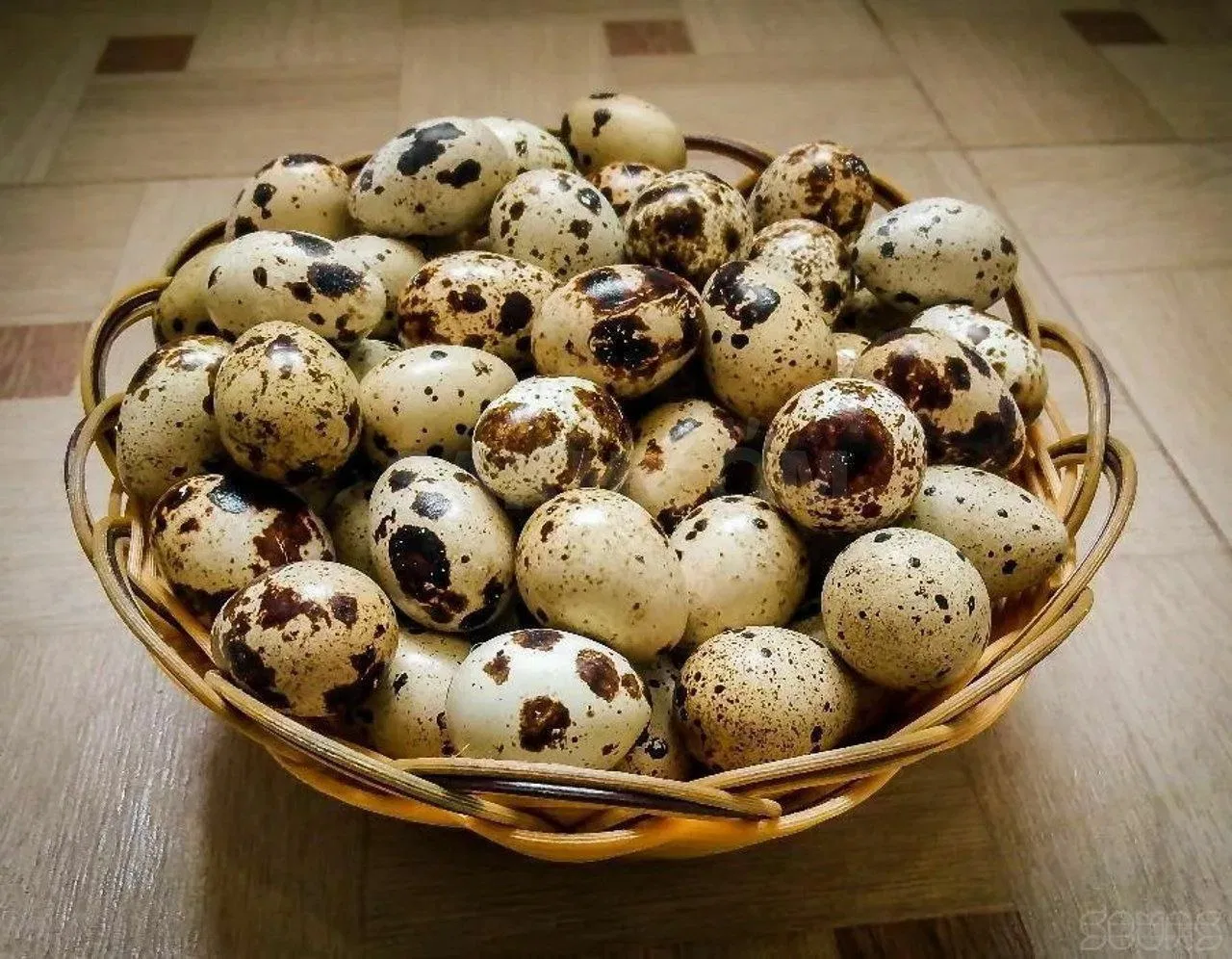 Quail egg 10 piece